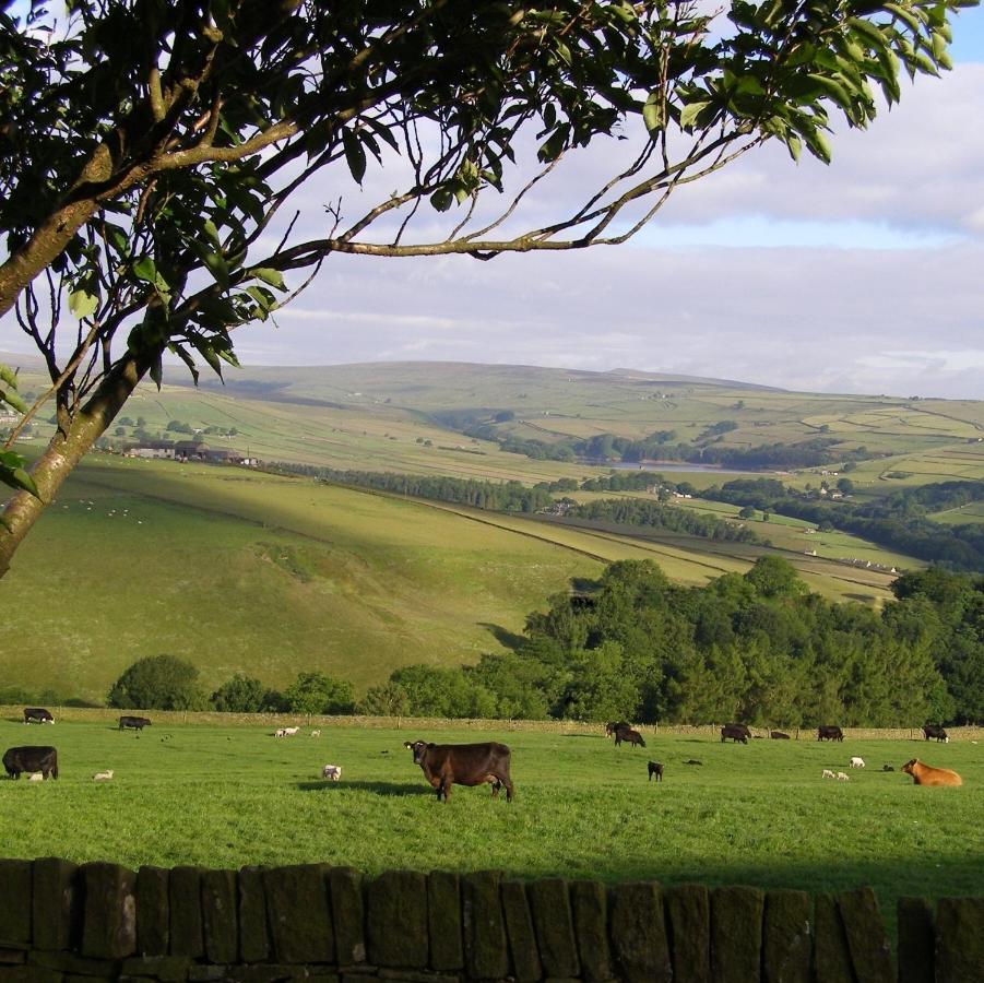 Coddy'S Farm Bed & Breakfast Holmfirth Exterior photo